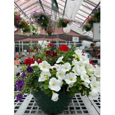 10" Assorted Annual Hanging Basket